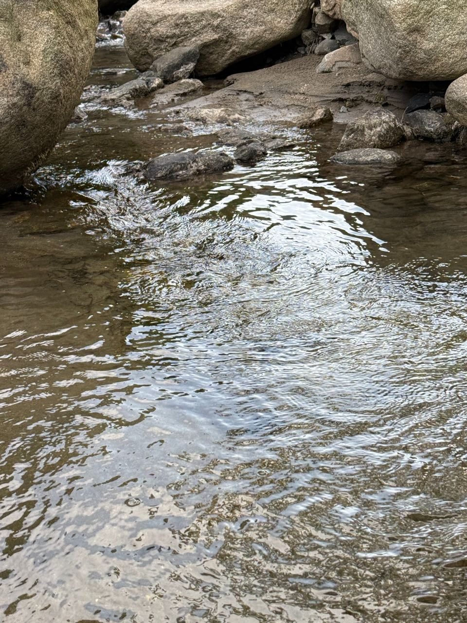 白い泡を立てて流れる川の水